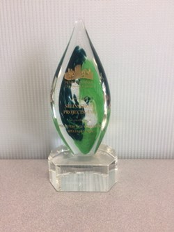 Trophy for 2016 Townie Award